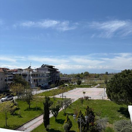 Villa Alexander Paralia Katerinis Exterior photo